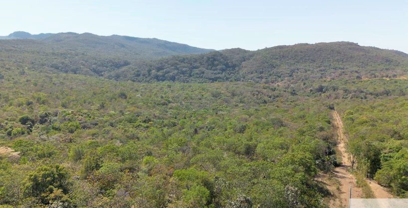 Siqueira Imóveis de Pirenópolis / Goiás / BrasilVenda de Casa em Brasília é na Siqueira Imobiliária de Pirenópolis / Imobiliária de Goiás / Imobiliária do Brasil / Imobiliária do Centro-Oeste / Pirenópolis Imóveis / Imóveis Pirenópolis / Imobiliária de Pirenópolis / Pirenópolis Imobiliária / Goiás Imóveis / Brasil Imóveis / Pirenópolis / Goiás / Brasil / Siqueira Imobiliária de Goiás / Consultoria Imobiliária / Consultor Imobiliário / Venda de Imóveis Pirenópolis / Melhor Imobiliária de Pirenópolis / Venda de pousadas / Venda de terrenos / venda de casas/ Venda de Lotes / Venda de Chácara / Venda de Fazenda / Venda de Apartamentos / Venda de Flat / Venda de Sítio / Brasília Imóveis / Goiânia Imóveis / Imobiliária de Goiânia / Imobiliária de Brasília/ Imobiliária em Pirenópolis / Imobiliária de Pirenópolis / Condomínio Fechado Vaga Fogo / Condomínio Paço da Estalagem / Condomínio Parque da Estalagem / Condomínio Quinta do Sol / Condomínio Fechado Pirenópolis / Cachoeiras Pirenópolis / Restaurante Pirenópolis /