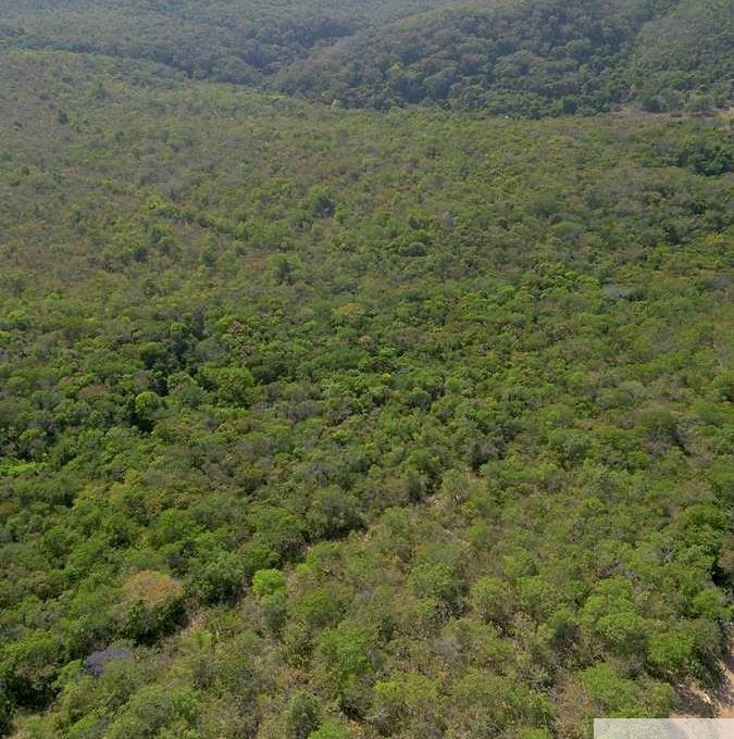 Siqueira Imóveis de Pirenópolis / Goiás / BrasilVenda de Casa em Brasília é na Siqueira Imobiliária de Pirenópolis / Imobiliária de Goiás / Imobiliária do Brasil / Imobiliária do Centro-Oeste / Pirenópolis Imóveis / Imóveis Pirenópolis / Imobiliária de Pirenópolis / Pirenópolis Imobiliária / Goiás Imóveis / Brasil Imóveis / Pirenópolis / Goiás / Brasil / Siqueira Imobiliária de Goiás / Consultoria Imobiliária / Consultor Imobiliário / Venda de Imóveis Pirenópolis / Melhor Imobiliária de Pirenópolis / Venda de pousadas / Venda de terrenos / venda de casas/ Venda de Lotes / Venda de Chácara / Venda de Fazenda / Venda de Apartamentos / Venda de Flat / Venda de Sítio / Brasília Imóveis / Goiânia Imóveis / Imobiliária de Goiânia / Imobiliária de Brasília/ Imobiliária em Pirenópolis / Imobiliária de Pirenópolis / Condomínio Fechado Vaga Fogo / Condomínio Paço da Estalagem / Condomínio Parque da Estalagem / Condomínio Quinta do Sol / Condomínio Fechado Pirenópolis / Cachoeiras Pirenópolis / Restaurante Pirenópolis /