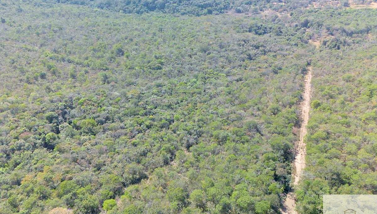 Siqueira Imóveis de Pirenópolis / Goiás / BrasilVenda de Casa em Brasília é na Siqueira Imobiliária de Pirenópolis / Imobiliária de Goiás / Imobiliária do Brasil / Imobiliária do Centro-Oeste / Pirenópolis Imóveis / Imóveis Pirenópolis / Imobiliária de Pirenópolis / Pirenópolis Imobiliária / Goiás Imóveis / Brasil Imóveis / Pirenópolis / Goiás / Brasil / Siqueira Imobiliária de Goiás / Consultoria Imobiliária / Consultor Imobiliário / Venda de Imóveis Pirenópolis / Melhor Imobiliária de Pirenópolis / Venda de pousadas / Venda de terrenos / venda de casas/ Venda de Lotes / Venda de Chácara / Venda de Fazenda / Venda de Apartamentos / Venda de Flat / Venda de Sítio / Brasília Imóveis / Goiânia Imóveis / Imobiliária de Goiânia / Imobiliária de Brasília/ Imobiliária em Pirenópolis / Imobiliária de Pirenópolis / Condomínio Fechado Vaga Fogo / Condomínio Paço da Estalagem / Condomínio Parque da Estalagem / Condomínio Quinta do Sol / Condomínio Fechado Pirenópolis / Cachoeiras Pirenópolis / Restaurante Pirenópolis /