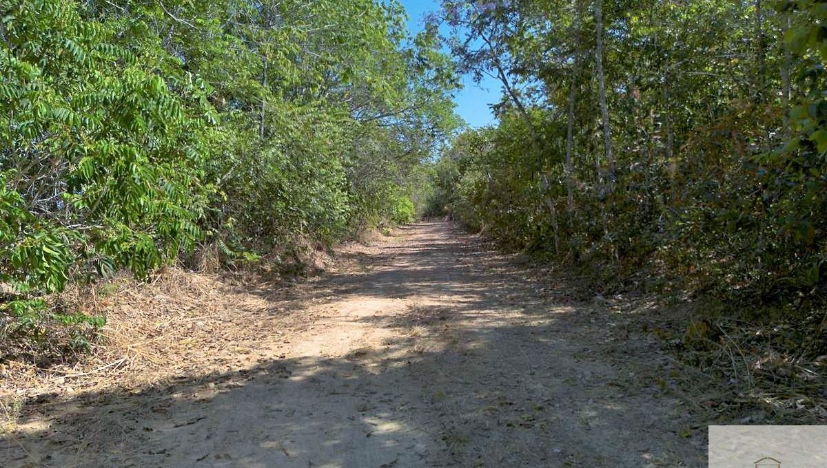 Siqueira Imóveis de Pirenópolis / Goiás / BrasilVenda de Casa em Brasília é na Siqueira Imobiliária de Pirenópolis / Imobiliária de Goiás / Imobiliária do Brasil / Imobiliária do Centro-Oeste / Pirenópolis Imóveis / Imóveis Pirenópolis / Imobiliária de Pirenópolis / Pirenópolis Imobiliária / Goiás Imóveis / Brasil Imóveis / Pirenópolis / Goiás / Brasil / Siqueira Imobiliária de Goiás / Consultoria Imobiliária / Consultor Imobiliário / Venda de Imóveis Pirenópolis / Melhor Imobiliária de Pirenópolis / Venda de pousadas / Venda de terrenos / venda de casas/ Venda de Lotes / Venda de Chácara / Venda de Fazenda / Venda de Apartamentos / Venda de Flat / Venda de Sítio / Brasília Imóveis / Goiânia Imóveis / Imobiliária de Goiânia / Imobiliária de Brasília/ Imobiliária em Pirenópolis / Imobiliária de Pirenópolis / Condomínio Fechado Vaga Fogo / Condomínio Paço da Estalagem / Condomínio Parque da Estalagem / Condomínio Quinta do Sol / Condomínio Fechado Pirenópolis / Cachoeiras Pirenópolis / Restaurante Pirenópolis /