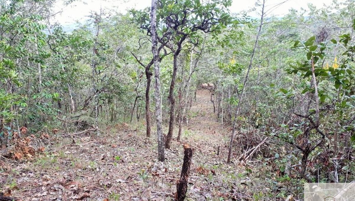 Siqueira Imóveis de Pirenópolis / Goiás / BrasilVenda de Casa em Brasília é na Siqueira Imobiliária de Pirenópolis / Imobiliária de Goiás / Imobiliária do Brasil / Imobiliária do Centro-Oeste / Pirenópolis Imóveis / Imóveis Pirenópolis / Imobiliária de Pirenópolis / Pirenópolis Imobiliária / Goiás Imóveis / Brasil Imóveis / Pirenópolis / Goiás / Brasil / Siqueira Imobiliária de Goiás / Consultoria Imobiliária / Consultor Imobiliário / Venda de Imóveis Pirenópolis / Melhor Imobiliária de Pirenópolis / Venda de pousadas / Venda de terrenos / venda de casas/ Venda de Lotes / Venda de Chácara / Venda de Fazenda / Venda de Apartamentos / Venda de Flat / Venda de Sítio / Brasília Imóveis / Goiânia Imóveis / Imobiliária de Goiânia / Imobiliária de Brasília/ Imobiliária em Pirenópolis / Imobiliária de Pirenópolis / Condomínio Fechado Vaga Fogo / Condomínio Paço da Estalagem / Condomínio Parque da Estalagem / Condomínio Quinta do Sol / Condomínio Fechado Pirenópolis / Cachoeiras Pirenópolis / Restaurante Pirenópolis /