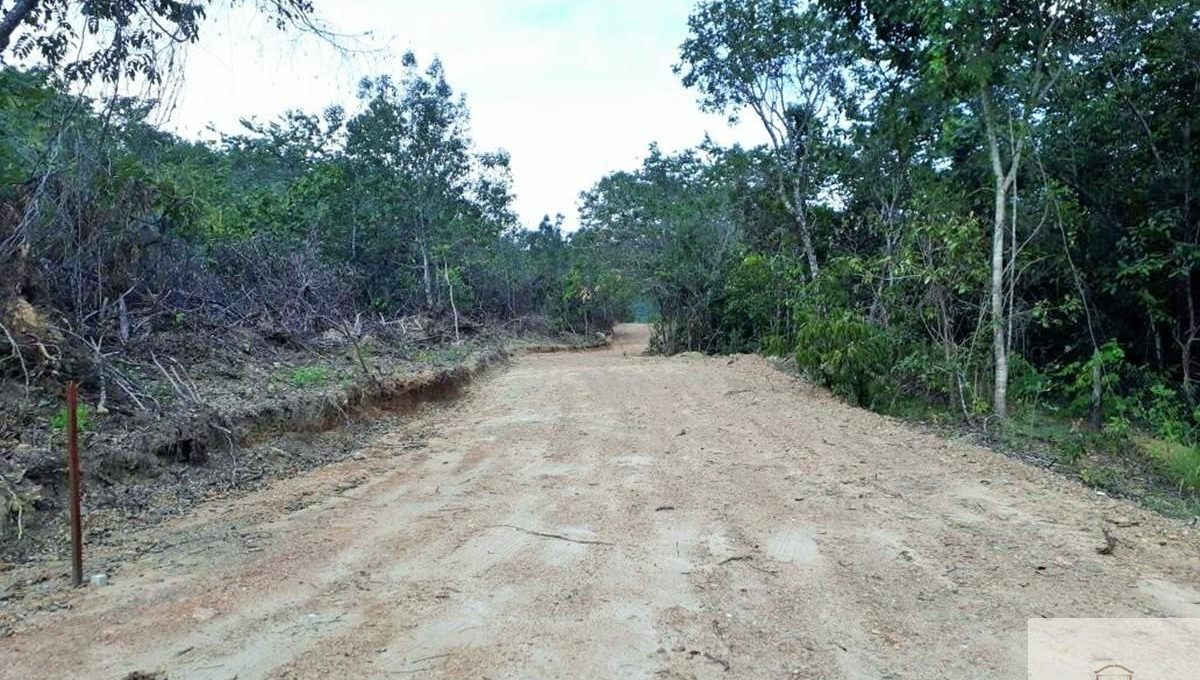 Siqueira Imóveis de Pirenópolis / Goiás / BrasilVenda de Casa em Brasília é na Siqueira Imobiliária de Pirenópolis / Imobiliária de Goiás / Imobiliária do Brasil / Imobiliária do Centro-Oeste / Pirenópolis Imóveis / Imóveis Pirenópolis / Imobiliária de Pirenópolis / Pirenópolis Imobiliária / Goiás Imóveis / Brasil Imóveis / Pirenópolis / Goiás / Brasil / Siqueira Imobiliária de Goiás / Consultoria Imobiliária / Consultor Imobiliário / Venda de Imóveis Pirenópolis / Melhor Imobiliária de Pirenópolis / Venda de pousadas / Venda de terrenos / venda de casas/ Venda de Lotes / Venda de Chácara / Venda de Fazenda / Venda de Apartamentos / Venda de Flat / Venda de Sítio / Brasília Imóveis / Goiânia Imóveis / Imobiliária de Goiânia / Imobiliária de Brasília/ Imobiliária em Pirenópolis / Imobiliária de Pirenópolis / Condomínio Fechado Vaga Fogo / Condomínio Paço da Estalagem / Condomínio Parque da Estalagem / Condomínio Quinta do Sol / Condomínio Fechado Pirenópolis / Cachoeiras Pirenópolis / Restaurante Pirenópolis /