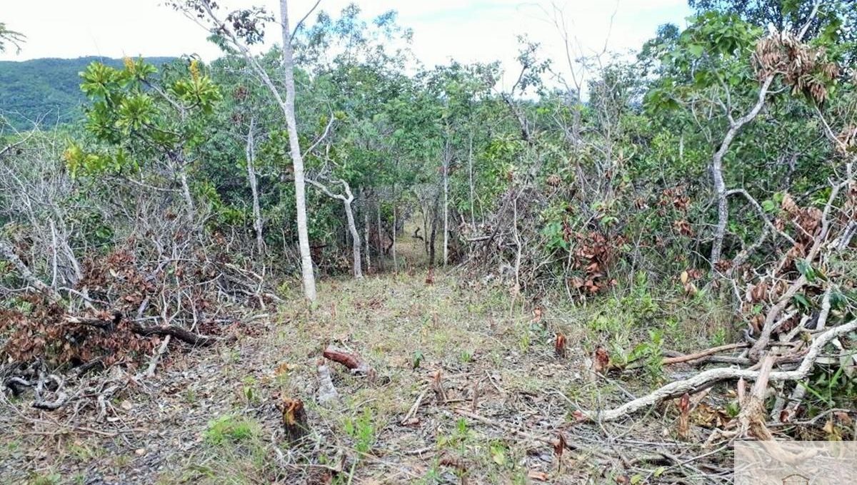 Siqueira Imóveis de Pirenópolis / Goiás / BrasilVenda de Casa em Brasília é na Siqueira Imobiliária de Pirenópolis / Imobiliária de Goiás / Imobiliária do Brasil / Imobiliária do Centro-Oeste / Pirenópolis Imóveis / Imóveis Pirenópolis / Imobiliária de Pirenópolis / Pirenópolis Imobiliária / Goiás Imóveis / Brasil Imóveis / Pirenópolis / Goiás / Brasil / Siqueira Imobiliária de Goiás / Consultoria Imobiliária / Consultor Imobiliário / Venda de Imóveis Pirenópolis / Melhor Imobiliária de Pirenópolis / Venda de pousadas / Venda de terrenos / venda de casas/ Venda de Lotes / Venda de Chácara / Venda de Fazenda / Venda de Apartamentos / Venda de Flat / Venda de Sítio / Brasília Imóveis / Goiânia Imóveis / Imobiliária de Goiânia / Imobiliária de Brasília/ Imobiliária em Pirenópolis / Imobiliária de Pirenópolis / Condomínio Fechado Vaga Fogo / Condomínio Paço da Estalagem / Condomínio Parque da Estalagem / Condomínio Quinta do Sol / Condomínio Fechado Pirenópolis / Cachoeiras Pirenópolis / Restaurante Pirenópolis /