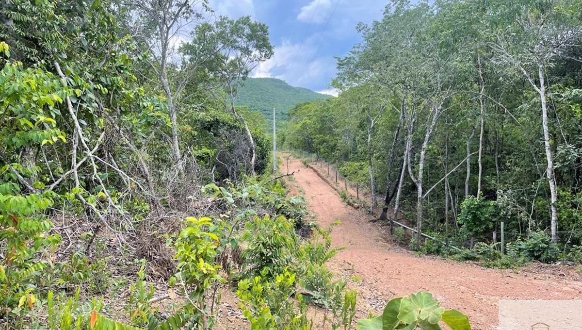 Siqueira Imóveis de Pirenópolis / Goiás / BrasilVenda de Casa em Brasília é na Siqueira Imobiliária de Pirenópolis / Imobiliária de Goiás / Imobiliária do Brasil / Imobiliária do Centro-Oeste / Pirenópolis Imóveis / Imóveis Pirenópolis / Imobiliária de Pirenópolis / Pirenópolis Imobiliária / Goiás Imóveis / Brasil Imóveis / Pirenópolis / Goiás / Brasil / Siqueira Imobiliária de Goiás / Consultoria Imobiliária / Consultor Imobiliário / Venda de Imóveis Pirenópolis / Melhor Imobiliária de Pirenópolis / Venda de pousadas / Venda de terrenos / venda de casas/ Venda de Lotes / Venda de Chácara / Venda de Fazenda / Venda de Apartamentos / Venda de Flat / Venda de Sítio / Brasília Imóveis / Goiânia Imóveis / Imobiliária de Goiânia / Imobiliária de Brasília/ Imobiliária em Pirenópolis / Imobiliária de Pirenópolis / Condomínio Fechado Vaga Fogo / Condomínio Paço da Estalagem / Condomínio Parque da Estalagem / Condomínio Quinta do Sol / Condomínio Fechado Pirenópolis / Cachoeiras Pirenópolis / Restaurante Pirenópolis /