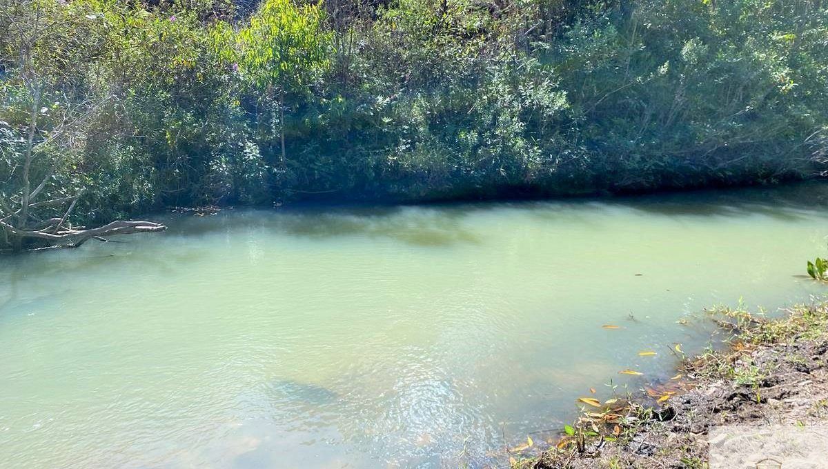 Siqueira Imóveis de Pirenópolis / Goiás / BrasilVenda de Casa em Brasília é na Siqueira Imobiliária de Pirenópolis / Imobiliária de Goiás / Imobiliária do Brasil / Imobiliária do Centro-Oeste / Pirenópolis Imóveis / Imóveis Pirenópolis / Imobiliária de Pirenópolis / Pirenópolis Imobiliária / Goiás Imóveis / Brasil Imóveis / Pirenópolis / Goiás / Brasil / Siqueira Imobiliária de Goiás / Consultoria Imobiliária / Consultor Imobiliário / Venda de Imóveis Pirenópolis / Melhor Imobiliária de Pirenópolis / Venda de pousadas / Venda de terrenos / venda de casas/ Venda de Lotes / Venda de Chácara / Venda de Fazenda / Venda de Apartamentos / Venda de Flat / Venda de Sítio / Brasília Imóveis / Goiânia Imóveis / Imobiliária de Goiânia / Imobiliária de Brasília/ Imobiliária em Pirenópolis / Imobiliária de Pirenópolis / Condomínio Fechado Vaga Fogo / Condomínio Paço da Estalagem / Condomínio Parque da Estalagem / Condomínio Quinta do Sol / Condomínio Fechado Pirenópolis / Cachoeiras Pirenópolis / Restaurante Pirenópolis /9f8a3408-67d7-4d9a-94bb-38cec089dc4cSiqueira Imobiliária - Pirenópolis - Goiás - Brasil