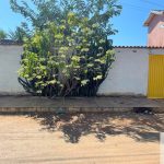 Siqueira Imóveis de Pirenópolis / Goiás / BrasilVenda de Casa em Brasília é na Siqueira Imobiliária de Pirenópolis / Imobiliária de Goiás / Imobiliária do Brasil / Imobiliária do Centro-Oeste / Pirenópolis Imóveis / Imóveis Pirenópolis / Imobiliária de Pirenópolis / Pirenópolis Imobiliária / Goiás Imóveis / Brasil Imóveis / Pirenópolis / Goiás / Brasil / Siqueira Imobiliária de Goiás / Consultoria Imobiliária / Consultor Imobiliário / Venda de Imóveis Pirenópolis / Melhor Imobiliária de Pirenópolis / Venda de pousadas / Venda de terrenos / venda de casas/ Venda de Lotes / Venda de Chácara / Venda de Fazenda / Venda de Apartamentos / Venda de Flat / Venda de Sítio / Brasília Imóveis / Goiânia Imóveis / Imobiliária de Goiânia / Imobiliária de Brasília/ Imobiliária em Pirenópolis / Imobiliária de Pirenópolis / Condomínio Fechado Vaga Fogo / Condomínio Paço da Estalagem / Condomínio Parque da Estalagem / Condomínio Quinta do Sol / Condomínio Fechado Pirenópolis / Cachoeiras Pirenópolis / Restaurante Pirenópolis /