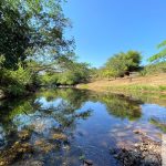 Siqueira Imóveis de Pirenópolis / Goiás / BrasilVenda de Casa em Brasília é na Siqueira Imobiliária de Pirenópolis / Imobiliária de Goiás / Imobiliária do Brasil / Imobiliária do Centro-Oeste / Pirenópolis Imóveis / Imóveis Pirenópolis / Imobiliária de Pirenópolis / Pirenópolis Imobiliária / Goiás Imóveis / Brasil Imóveis / Pirenópolis / Goiás / Brasil / Siqueira Imobiliária de Goiás / Consultoria Imobiliária / Consultor Imobiliário / Venda de Imóveis Pirenópolis / Melhor Imobiliária de Pirenópolis / Venda de pousadas / Venda de terrenos / venda de casas/ Venda de Lotes / Venda de Chácara / Venda de Fazenda / Venda de Apartamentos / Venda de Flat / Venda de Sítio / Brasília Imóveis / Goiânia Imóveis / Imobiliária de Goiânia / Imobiliária de Brasília/ Imobiliária em Pirenópolis / Imobiliária de Pirenópolis / Condomínio Fechado Vaga Fogo / Condomínio Paço da Estalagem / Condomínio Parque da Estalagem / Condomínio Quinta do Sol / Condomínio Fechado Pirenópolis / Cachoeiras Pirenópolis / Restaurante Pirenópolis /