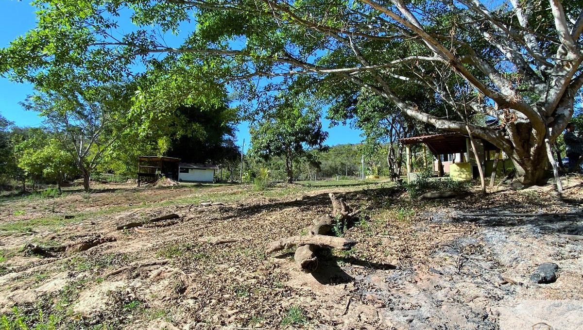 Siqueira Imóveis de Pirenópolis / Goiás / BrasilVenda de Casa em Brasília é na Siqueira Imobiliária de Pirenópolis / Imobiliária de Goiás / Imobiliária do Brasil / Imobiliária do Centro-Oeste / Pirenópolis Imóveis / Imóveis Pirenópolis / Imobiliária de Pirenópolis / Pirenópolis Imobiliária / Goiás Imóveis / Brasil Imóveis / Pirenópolis / Goiás / Brasil / Siqueira Imobiliária de Goiás / Consultoria Imobiliária / Consultor Imobiliário / Venda de Imóveis Pirenópolis / Melhor Imobiliária de Pirenópolis / Venda de pousadas / Venda de terrenos / venda de casas/ Venda de Lotes / Venda de Chácara / Venda de Fazenda / Venda de Apartamentos / Venda de Flat / Venda de Sítio / Brasília Imóveis / Goiânia Imóveis / Imobiliária de Goiânia / Imobiliária de Brasília/ Imobiliária em Pirenópolis / Imobiliária de Pirenópolis / Condomínio Fechado Vaga Fogo / Condomínio Paço da Estalagem / Condomínio Parque da Estalagem / Condomínio Quinta do Sol / Condomínio Fechado Pirenópolis / Cachoeiras Pirenópolis / Restaurante Pirenópolis /