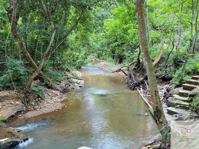 Siqueira Imóveis de Pirenópolis / Goiás / BrasilVenda de Casa em Brasília é na Siqueira Imobiliária de Pirenópolis / Imobiliária de Goiás / Imobiliária do Brasil / Imobiliária do Centro-Oeste / Pirenópolis Imóveis / Imóveis Pirenópolis / Imobiliária de Pirenópolis / Pirenópolis Imobiliária / Goiás Imóveis / Brasil Imóveis / Pirenópolis / Goiás / Brasil / Siqueira Imobiliária de Goiás / Consultoria Imobiliária / Consultor Imobiliário / Venda de Imóveis Pirenópolis / Melhor Imobiliária de Pirenópolis / Venda de pousadas / Venda de terrenos / venda de casas/ Venda de Lotes / Venda de Chácara / Venda de Fazenda / Venda de Apartamentos / Venda de Flat / Venda de Sítio / Brasília Imóveis / Goiânia Imóveis / Imobiliária de Goiânia / Imobiliária de Brasília/ Imobiliária em Pirenópolis / Imobiliária de Pirenópolis / Condomínio Fechado Vaga Fogo / Condomínio Paço da Estalagem / Condomínio Parque da Estalagem / Condomínio Quinta do Sol / Condomínio Fechado Pirenópolis / Cachoeiras Pirenópolis / Restaurante Pirenópolis /