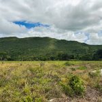 Siqueira Imóveis de Pirenópolis / Goiás / BrasilVenda de Casa em Brasília é na Siqueira Imobiliária de Pirenópolis / Imobiliária de Goiás / Imobiliária do Brasil / Imobiliária do Centro-Oeste / Pirenópolis Imóveis / Imóveis Pirenópolis / Imobiliária de Pirenópolis / Pirenópolis Imobiliária / Goiás Imóveis / Brasil Imóveis / Pirenópolis / Goiás / Brasil / Siqueira Imobiliária de Goiás / Consultoria Imobiliária / Consultor Imobiliário / Venda de Imóveis Pirenópolis / Melhor Imobiliária de Pirenópolis / Venda de pousadas / Venda de terrenos / venda de casas/ Venda de Lotes / Venda de Chácara / Venda de Fazenda / Venda de Apartamentos / Venda de Flat / Venda de Sítio / Brasília Imóveis / Goiânia Imóveis / Imobiliária de Goiânia / Imobiliária de Brasília/ Imobiliária em Pirenópolis / Imobiliária de Pirenópolis / Condomínio Fechado Vaga Fogo / Condomínio Paço da Estalagem / Condomínio Parque da Estalagem / Condomínio Quinta do Sol / Condomínio Fechado Pirenópolis / Cachoeiras Pirenópolis / Restaurante Pirenópolis /Siqueira Imóveis de Pirenópolis / Goiás / BrasilVenda de Casa em Brasília é na Siqueira Imobiliária de Pirenópolis / Imobiliária de Goiás / Imobiliária do Brasil / Imobiliária do Centro-Oeste / Pirenópolis Imóveis / Imóveis Pirenópolis / Imobiliária de Pirenópolis / Pirenópolis Imobiliária / Goiás Imóveis / Brasil Imóveis / Pirenópolis / Goiás / Brasil / Siqueira Imobiliária de Goiás / Consultoria Imobiliária / Consultor Imobiliário / Venda de Imóveis Pirenópolis / Melhor Imobiliária de Pirenópolis / Venda de pousadas / Venda de terrenos / venda de casas/ Venda de Lotes / Venda de Chácara / Venda de Fazenda / Venda de Apartamentos / Venda de Flat / Venda de Sítio / Brasília Imóveis / Goiânia Imóveis / Imobiliária de Goiânia / Imobiliária de Brasília/ Imobiliária em Pirenópolis / Imobiliária de Pirenópolis / Condomínio Fechado Vaga Fogo / Condomínio Paço da Estalagem / Condomínio Parque da Estalagem / Condomínio Quinta do Sol / Condomínio Fechado Pirenópolis / Cachoeiras Pirenópolis / Restaurante Pirenópolis /