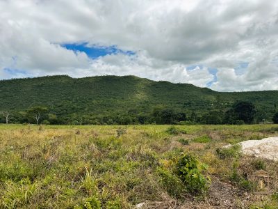 Siqueira Imóveis de Pirenópolis / Goiás / BrasilVenda de Casa em Brasília é na Siqueira Imobiliária de Pirenópolis / Imobiliária de Goiás / Imobiliária do Brasil / Imobiliária do Centro-Oeste / Pirenópolis Imóveis / Imóveis Pirenópolis / Imobiliária de Pirenópolis / Pirenópolis Imobiliária / Goiás Imóveis / Brasil Imóveis / Pirenópolis / Goiás / Brasil / Siqueira Imobiliária de Goiás / Consultoria Imobiliária / Consultor Imobiliário / Venda de Imóveis Pirenópolis / Melhor Imobiliária de Pirenópolis / Venda de pousadas / Venda de terrenos / venda de casas/ Venda de Lotes / Venda de Chácara / Venda de Fazenda / Venda de Apartamentos / Venda de Flat / Venda de Sítio / Brasília Imóveis / Goiânia Imóveis / Imobiliária de Goiânia / Imobiliária de Brasília/ Imobiliária em Pirenópolis / Imobiliária de Pirenópolis / Condomínio Fechado Vaga Fogo / Condomínio Paço da Estalagem / Condomínio Parque da Estalagem / Condomínio Quinta do Sol / Condomínio Fechado Pirenópolis / Cachoeiras Pirenópolis / Restaurante Pirenópolis /Siqueira Imóveis de Pirenópolis / Goiás / BrasilVenda de Casa em Brasília é na Siqueira Imobiliária de Pirenópolis / Imobiliária de Goiás / Imobiliária do Brasil / Imobiliária do Centro-Oeste / Pirenópolis Imóveis / Imóveis Pirenópolis / Imobiliária de Pirenópolis / Pirenópolis Imobiliária / Goiás Imóveis / Brasil Imóveis / Pirenópolis / Goiás / Brasil / Siqueira Imobiliária de Goiás / Consultoria Imobiliária / Consultor Imobiliário / Venda de Imóveis Pirenópolis / Melhor Imobiliária de Pirenópolis / Venda de pousadas / Venda de terrenos / venda de casas/ Venda de Lotes / Venda de Chácara / Venda de Fazenda / Venda de Apartamentos / Venda de Flat / Venda de Sítio / Brasília Imóveis / Goiânia Imóveis / Imobiliária de Goiânia / Imobiliária de Brasília/ Imobiliária em Pirenópolis / Imobiliária de Pirenópolis / Condomínio Fechado Vaga Fogo / Condomínio Paço da Estalagem / Condomínio Parque da Estalagem / Condomínio Quinta do Sol / Condomínio Fechado Pirenópolis / Cachoeiras Pirenópolis / Restaurante Pirenópolis /